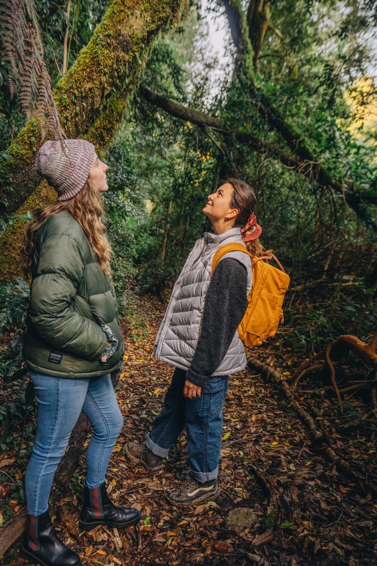 Visitantes entre los árboles del bosque nativo