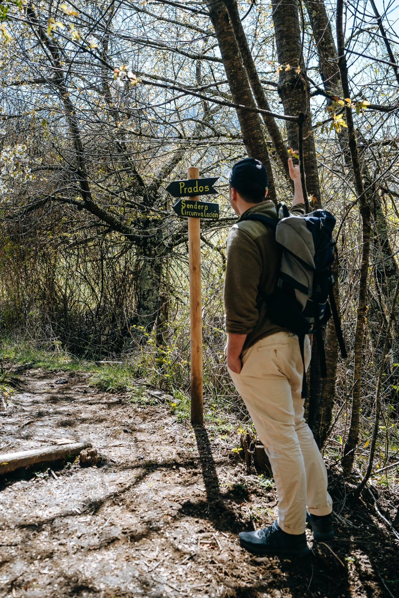 Señalización del sendero entre los árboles